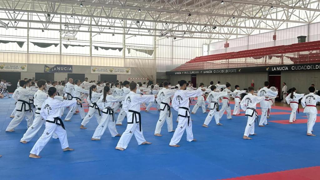 La Ciutat Esportiva Camilo Cano acoge a los alumnos y maestros de taekwondo este fin de semana.