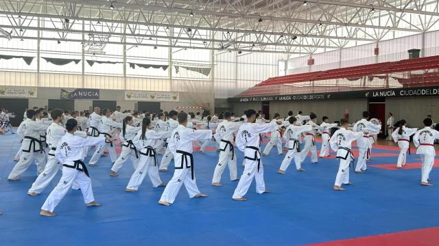 La Ciutat Esportiva Camilo Cano acoge a los alumnos y maestros de taekwondo este fin de semana.