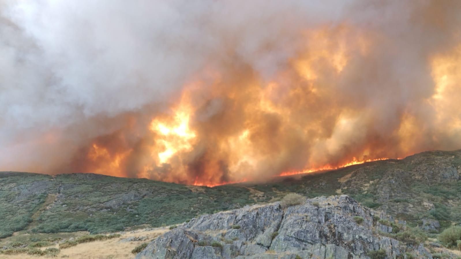 Los incendios arrasan 29.000 hectáreas en Zamora en apenas 18 días ...