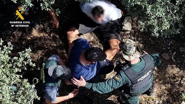 En apenas tres meses, la Guardia Civil ha localizado varias macroplantaciones de marihuana vinculadas a clanes albaneses en diferentes puntos de la sierra turolense.