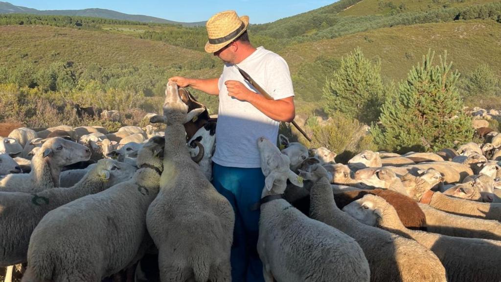 Alberto con su rebaño en el Parque Natural del Lago de Sanabria