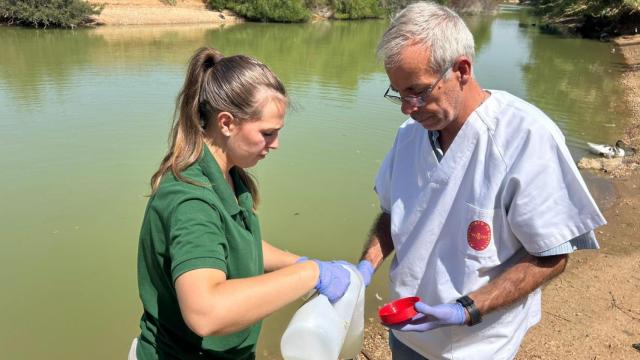 Técnicos del Ayuntamiento de Sevilla toman muestras de las aguas de la laguna del Tamarguillo.