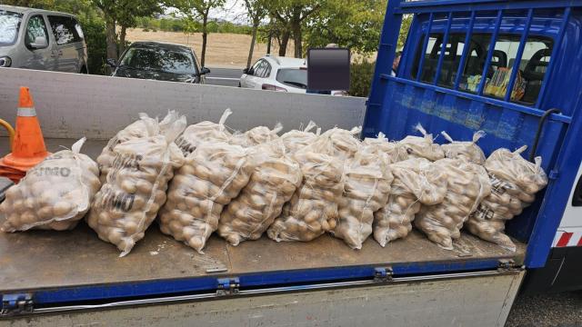 Imagen de las patatas decomisadas por la Policía Municipal de Valladolid este domingo en el mercadillo