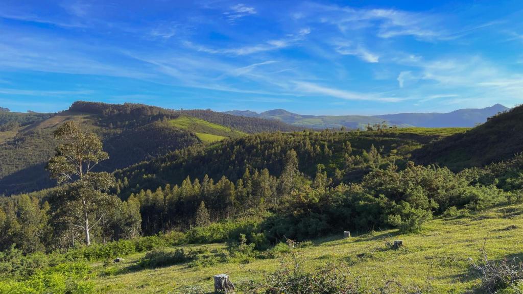 La naturaleza de los montes de Cantabria, España.