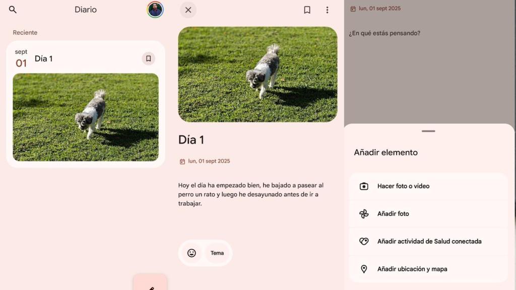 Funcionamiento de Google Journal