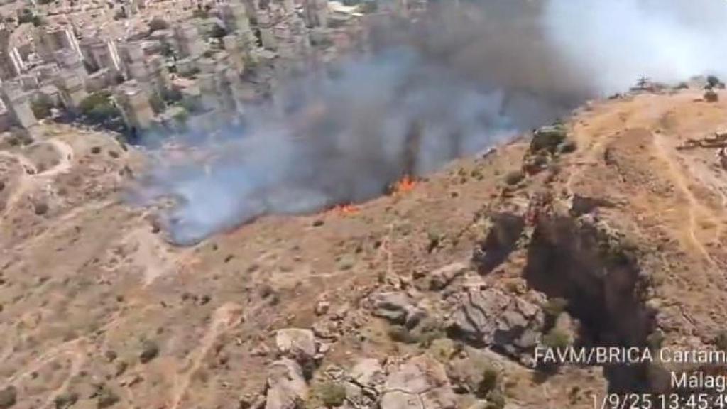 Una imagen de las llamas en Palma-Palmilla.