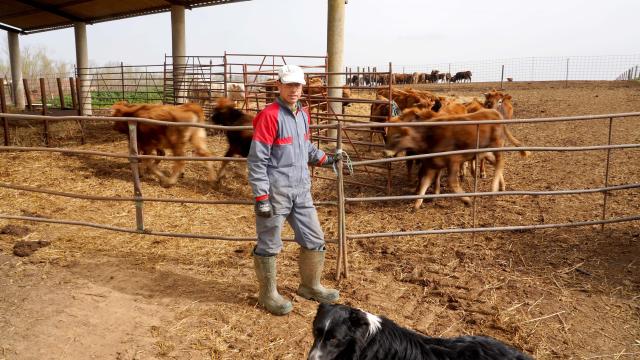 Un ganadero en Castilla y León
