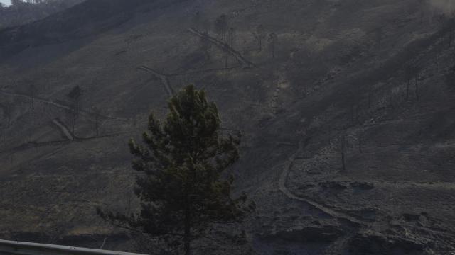 Vista tras el incendio en San Vicente de Leira, a 19 de agosto de 2025.