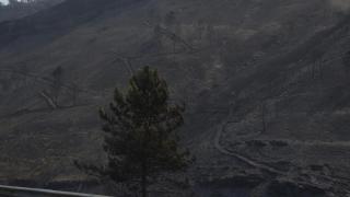 Vista tras el incendio en San Vicente de Leira, a 19 de agosto de 2025.