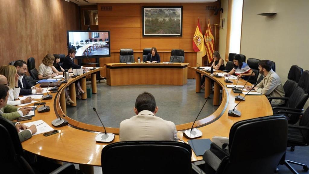 Comparecencia en las Cortes.