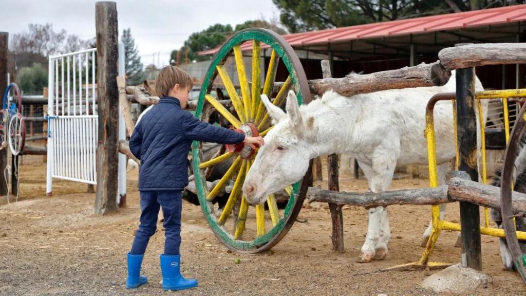 Burrolandia Tres Cantos
