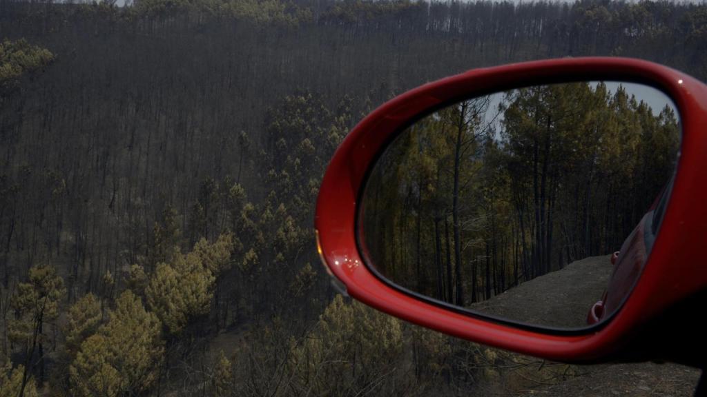 Vista tras el incendio en los montes de Cernego, a 19 de agosto de 2025, en Villamartín de Valdeorras, Ourense, Galicia (España)