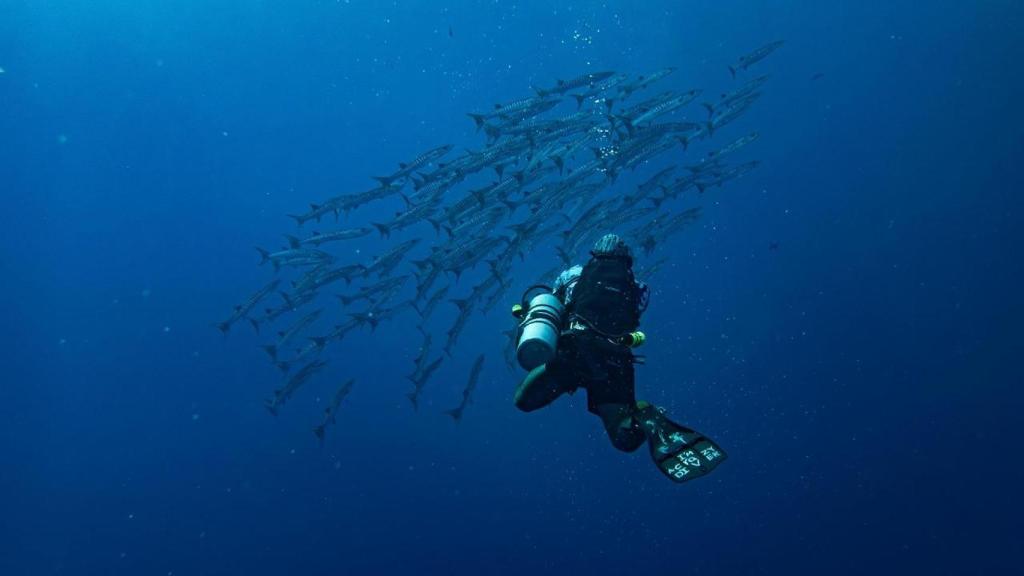 Persona practicando buceo ecológico.