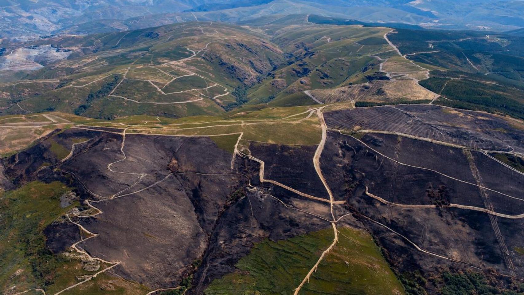 Greenpeace documenta con imágenes exclusivas desde el aire las zonas quemadas por los incendios en las provincias más afectadas: Ourense, León y Zamora