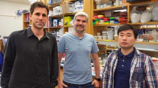 Los investigadores César de la Fuente, Marcelo Torres y Fangping Wan de la Universidad de Pennsylvania.