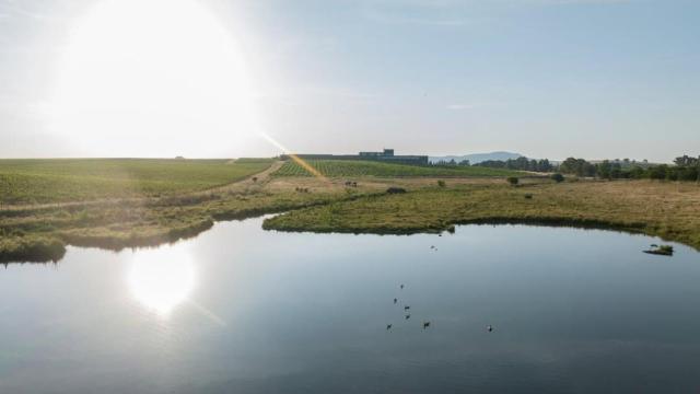 Bodegas Habla, su viñedo y la charca con la que se riega la finca.