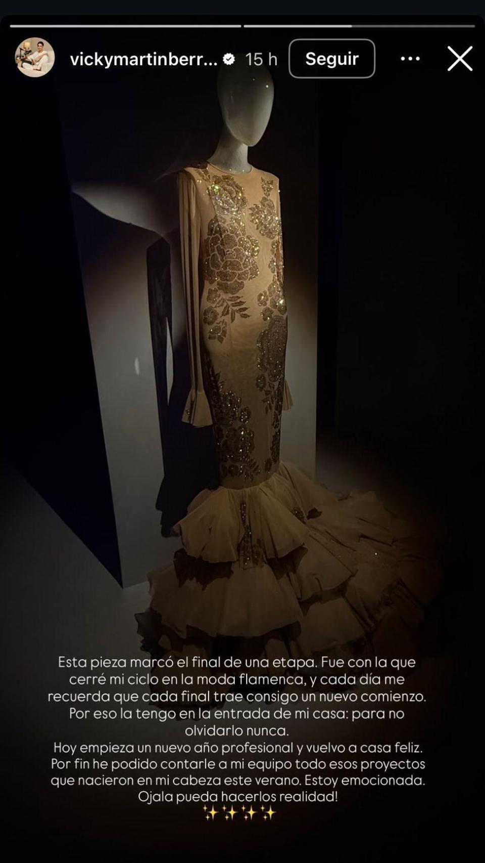 Imagen del vestido del que hablar Vicky Martín Berrocal y su mensaje.