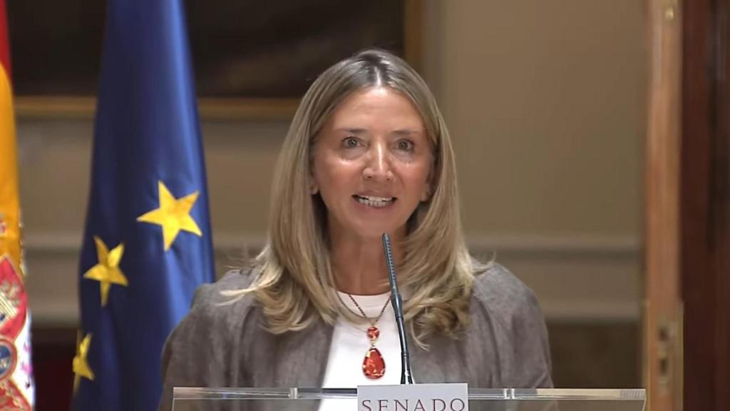 La portavoz del PP en el Senado, Alicia García, ofrece declaraciones desde la Cámara Alta este miércoles.