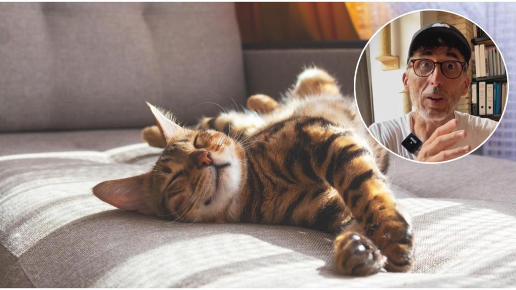 Emilio Ibáñez junto a un gato.