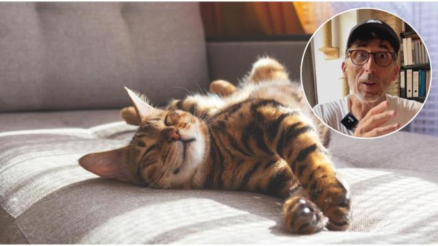 Emilio Ibáñez junto a un gato.