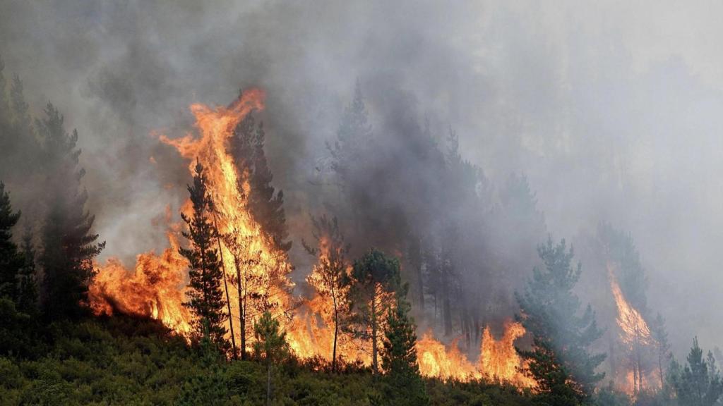 Incendio en los alrededores de San Antolín de Ibias.