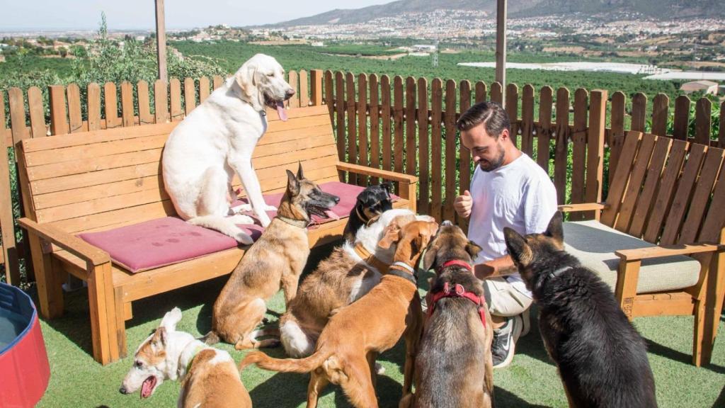Samuel León, educador canino en Tribú Canina, con sus perros.