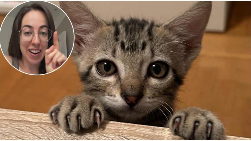 Pilar Guerrero, etóloga felina.