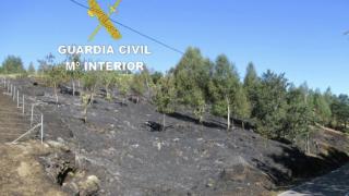 Zona quemada por el fuego