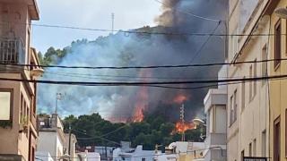 Emergencias establece la situación 1 del PEIF por un incendio de vegetación en Oliva