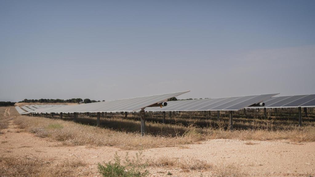 La planta fotovoltaica ocupa en esta zona 1.000 hectáreas de extensión.