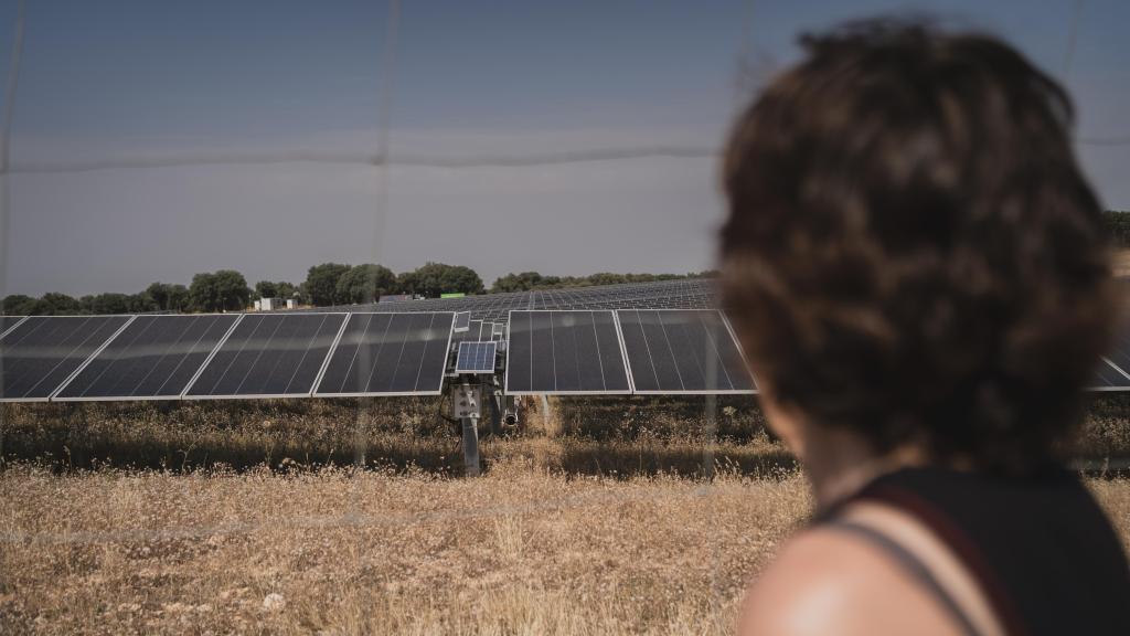 Rosa Pardo contempla la instalación.