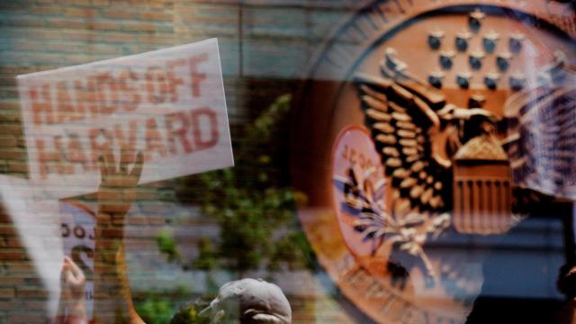 Manifestantes durante la audiencia sobre la suspensión de fondos a Harvard, el 21 de julio de 2025.