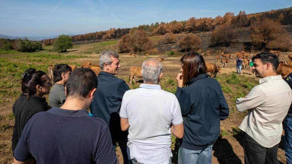El presidente de la Xunta, Alfonso Rueda, visita una explotación ganadera en Quiroga (Lugo) afectada por los incendios, a 5 de septiembre de 2025.