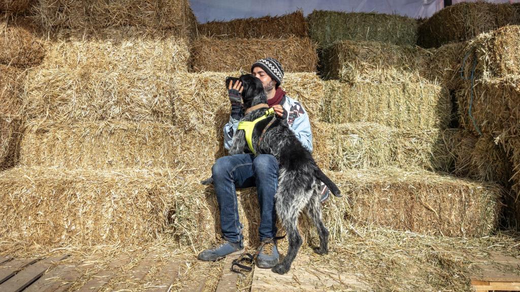 Un voluntario de Salvando Peludos con un perro.