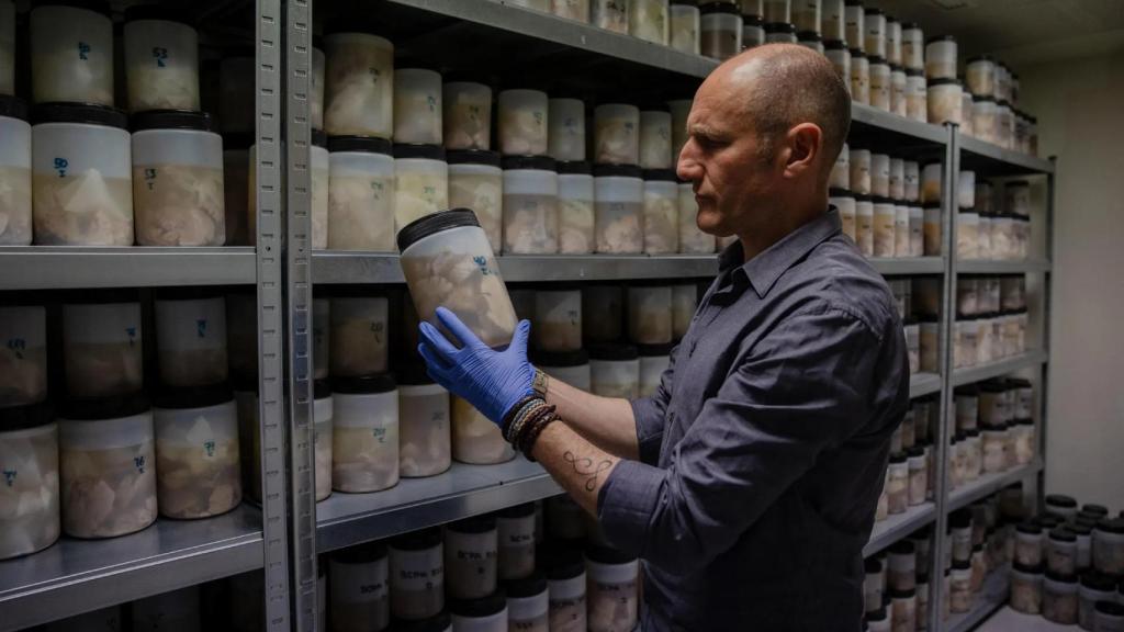 Bruner se especializó en los aspectos anatómicos y cognitivos de cerebros humanos de ayer y de hoy.