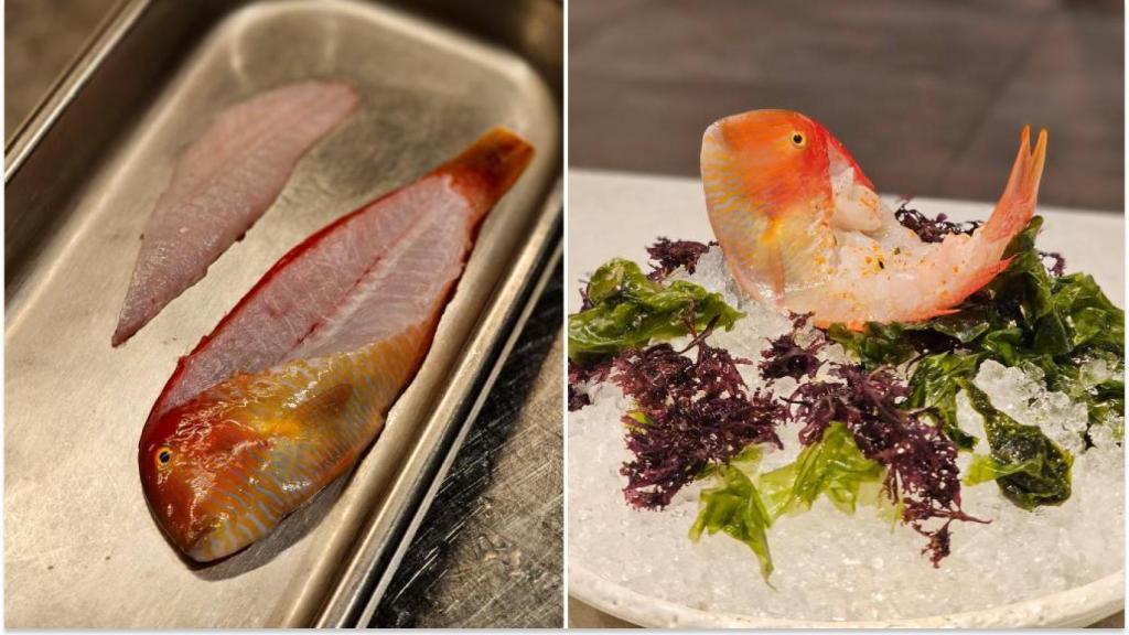 El ikuzukuri de Ugo Chan.