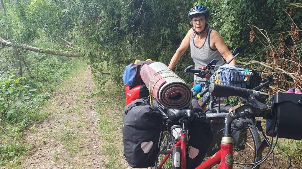 Ana se encontró un árbol por el camino.