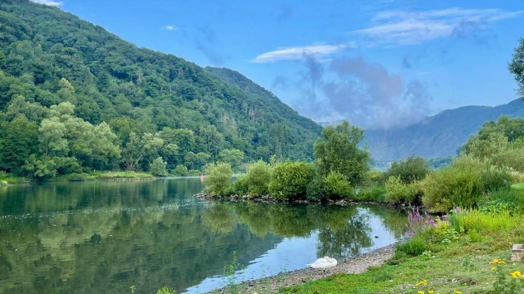 Uno de los alucinantes paisajes que vio.