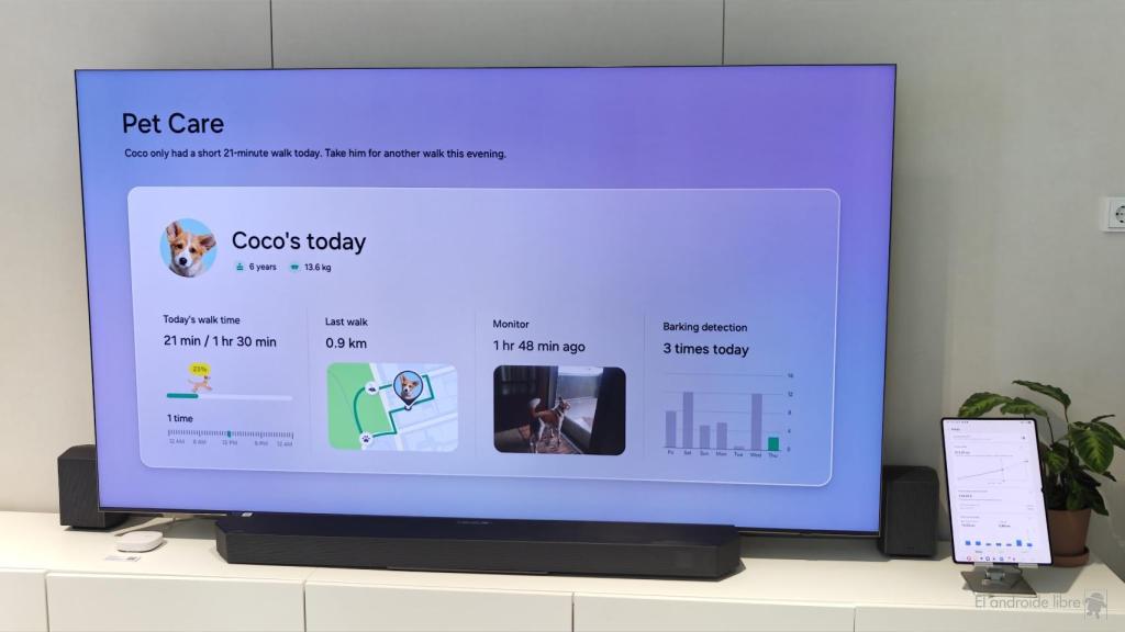 Cuidado de mascotas en Samsung
