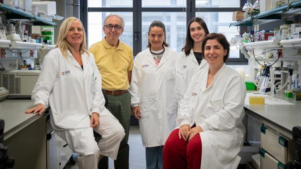 De izquierda a derecha: Dr. Sánchez-Feutrie, Dr. Zorzano, Dr. Hernández, Dr. Romero