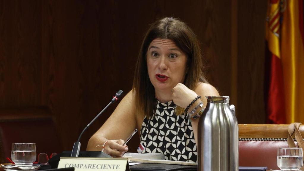 La exmilitante socialista y fontanera del PSOE Leire Díez este lunes en el Senado.