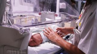 Una unidad de neonatología.