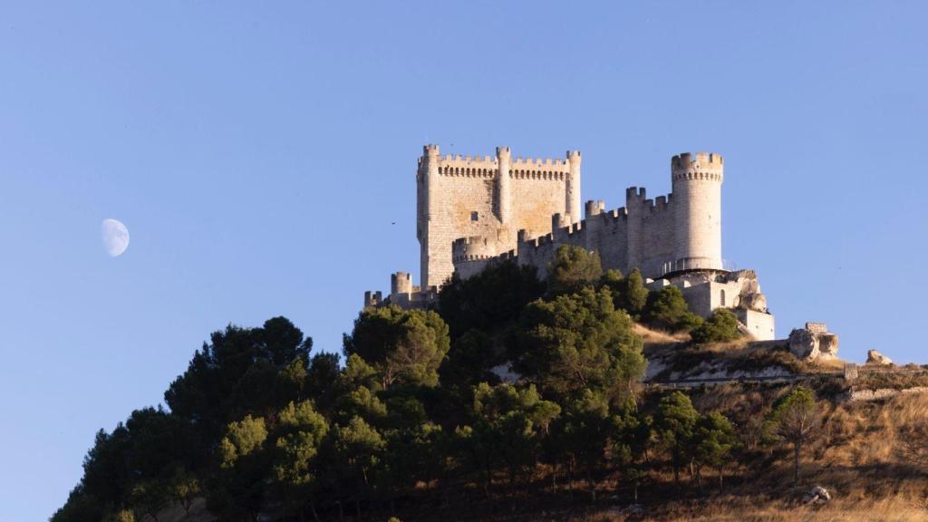 Peñafiel, pesar de tener 5.000 habitantes, cuenta con más de 155.000 seguidores en sus redes sociales y millones de visualizaciones.