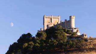 Peñafiel, pesar de tener 5.000 habitantes, cuenta con más de 155.000 seguidores en sus redes sociales y millones de visualizaciones.