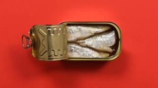 930917267_253867617_1706x960