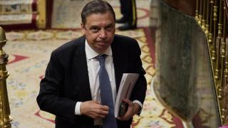 El ministro de Agricultura, Pesca y Alimentación, Luis Planas, en el Congreso.