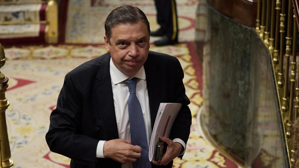 El ministro de Agricultura, Pesca y Alimentación, Luis Planas, en el Congreso.