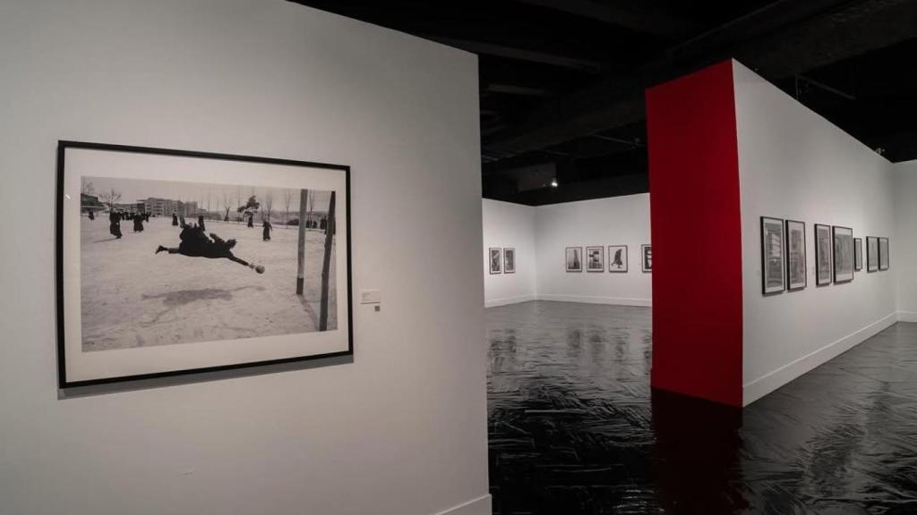 La muestra llega a la capital por primera vez.