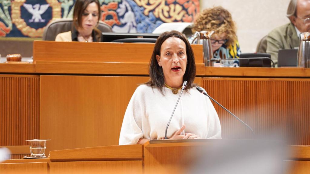 Carmen Susín, consejera de Bienestar Social y familia