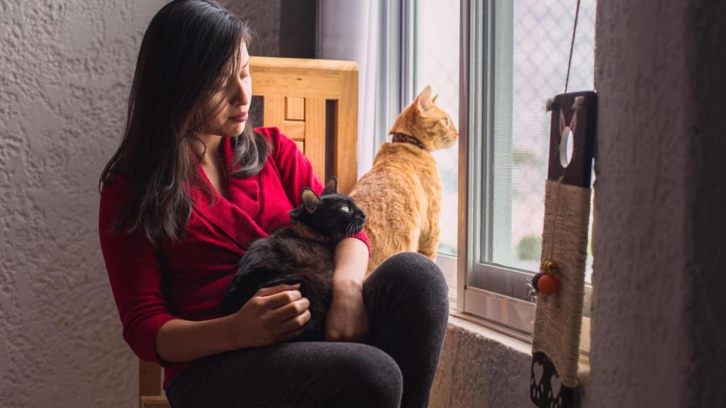 Alejandra Morán, fotógrafa de mascotas, con sus tres gatos.